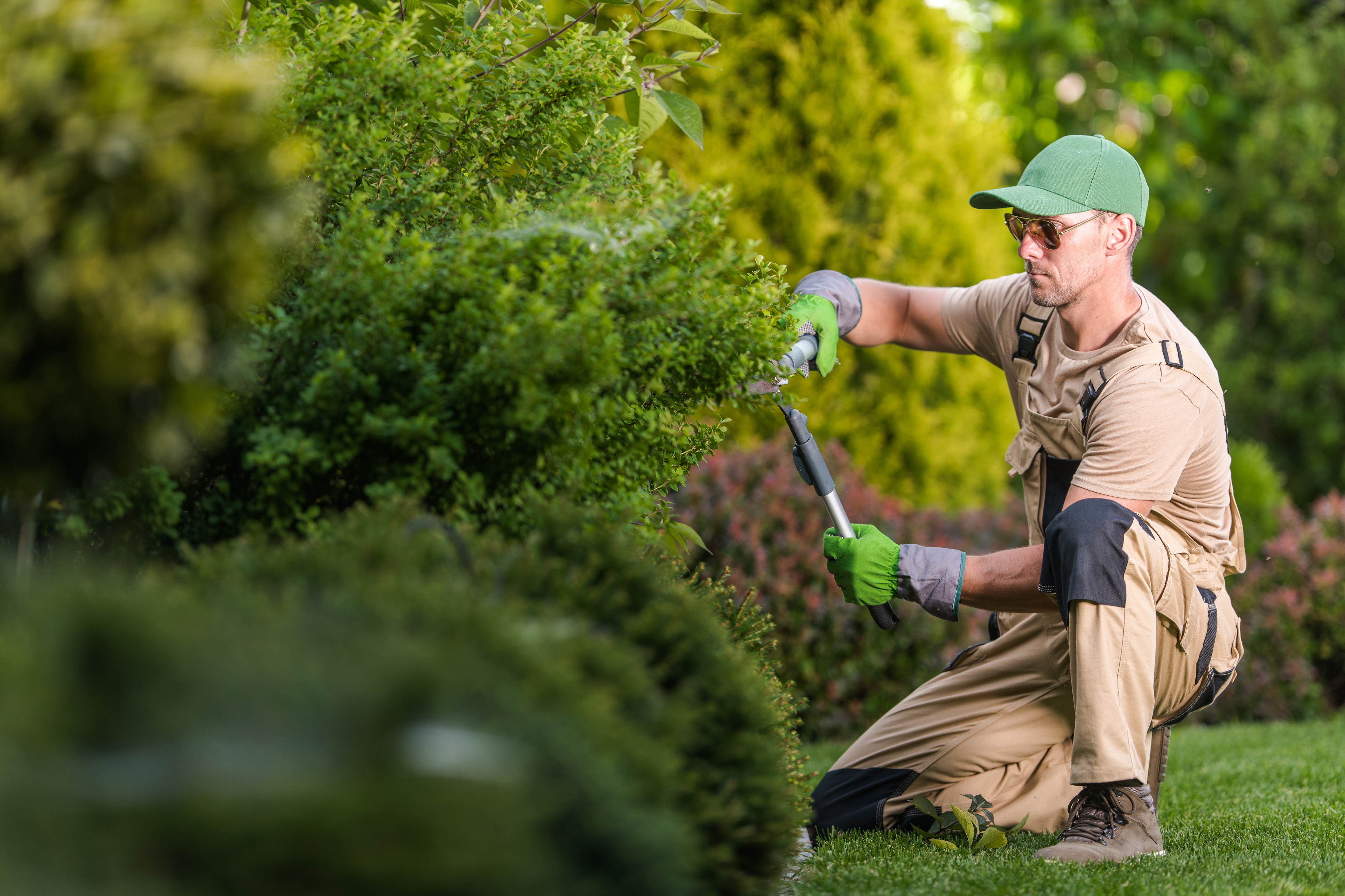 Best software for landscapers